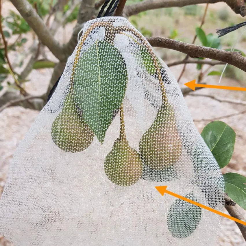 Fruit Protection Bags (Pack OF 10)